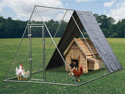 2.5 metre chicken run