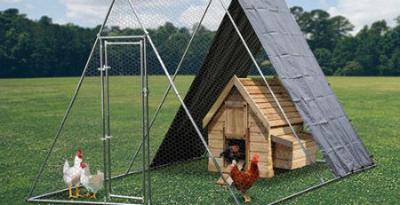 2.5 metre chicken run